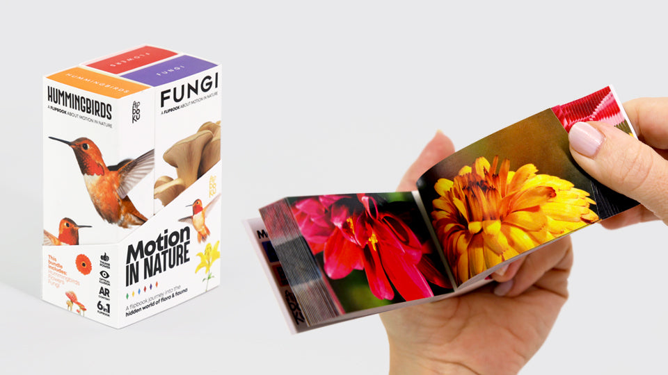 Motion in Nature - Moving Art Bundle