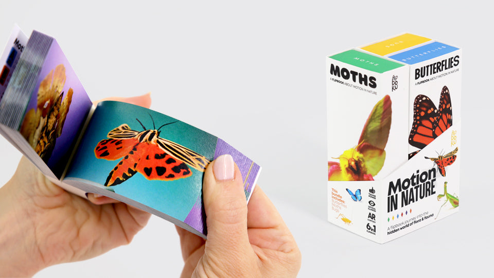 Motion in Nature - AntLab Bundle