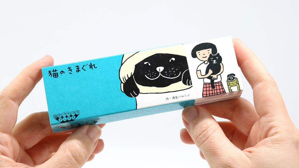 What a Whimsy Cat! Flipbook