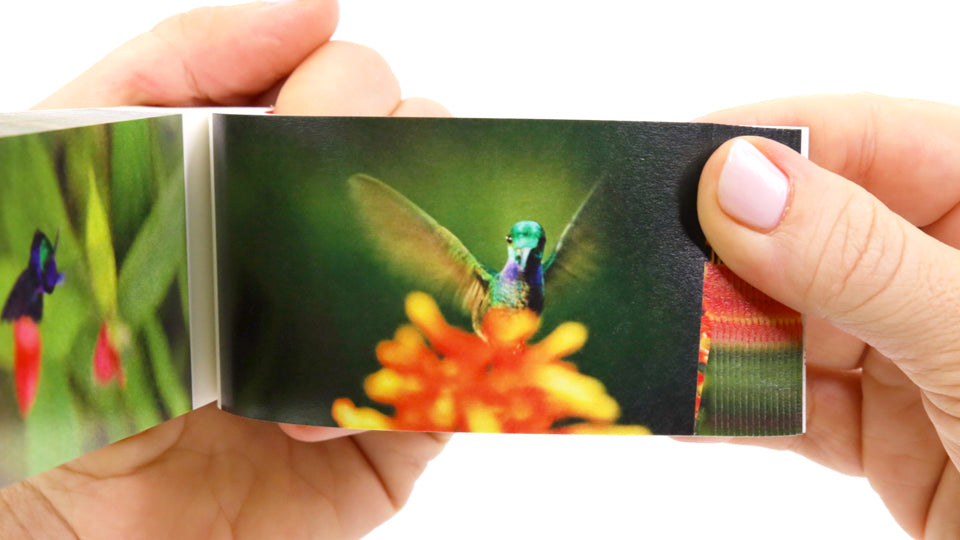 Hummingbirds Flipbook