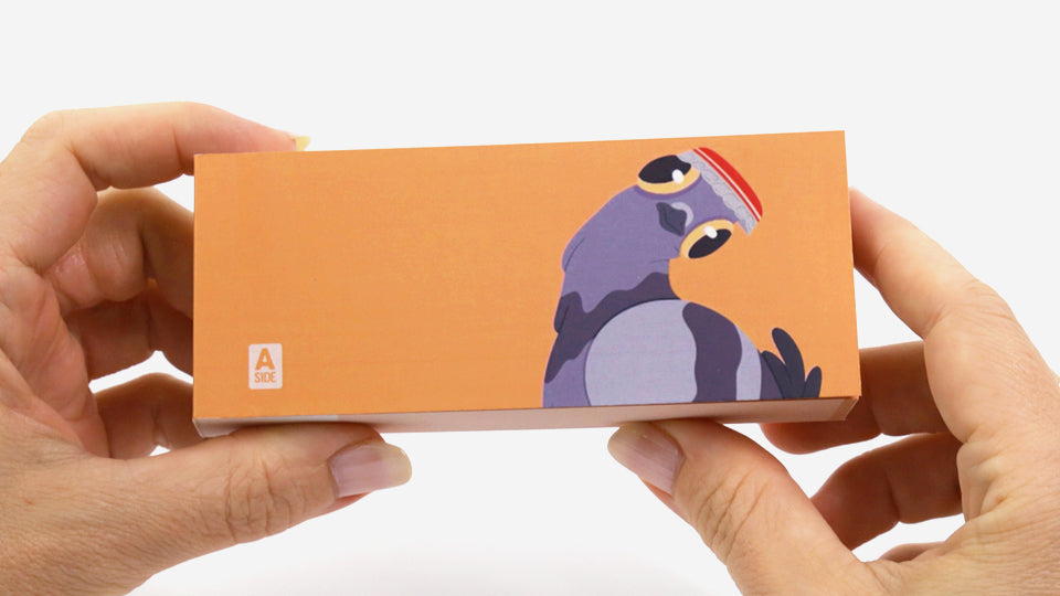 Pigeons Flipbook