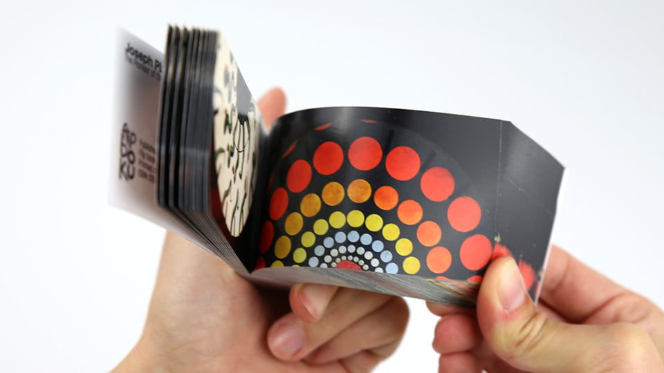 The Pioneers of Cinema - a flip book collection including 10 magic flip books that also feature augmented reality micro-documentaries on George Méliès, the Lumière Brothers, Winsor McCay and many others.