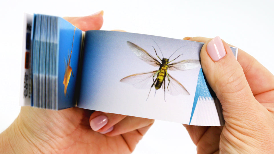 Bugs Flipbook