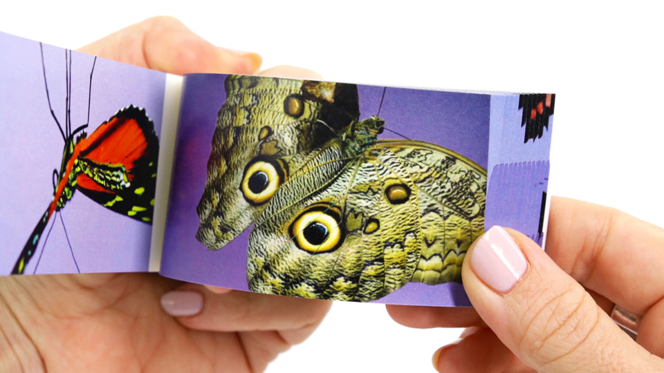 Butterflies Flipbook