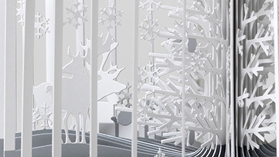 Mundo nevado - Libro 360º