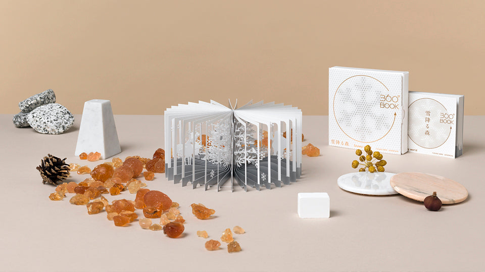 Mundo nevado - Libro 360º