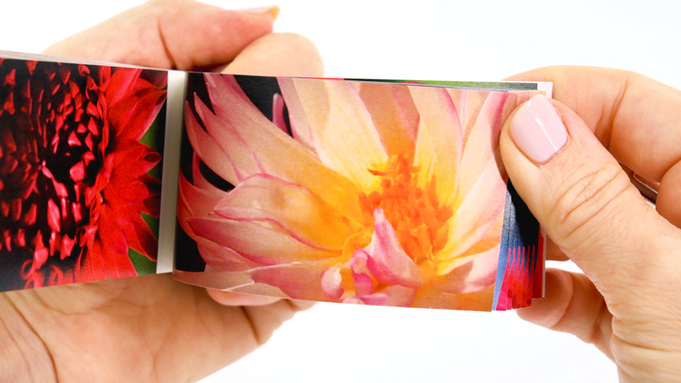 Flowers Flipbook