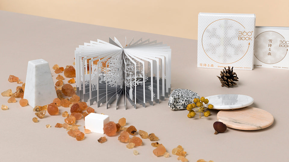 Mundo nevado - Libro 360º