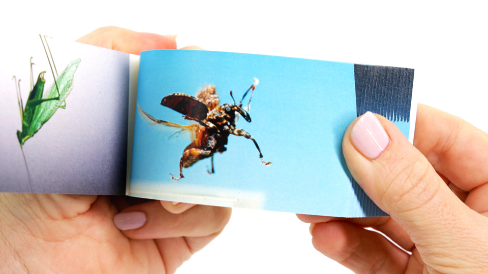 Bugs Flipbook