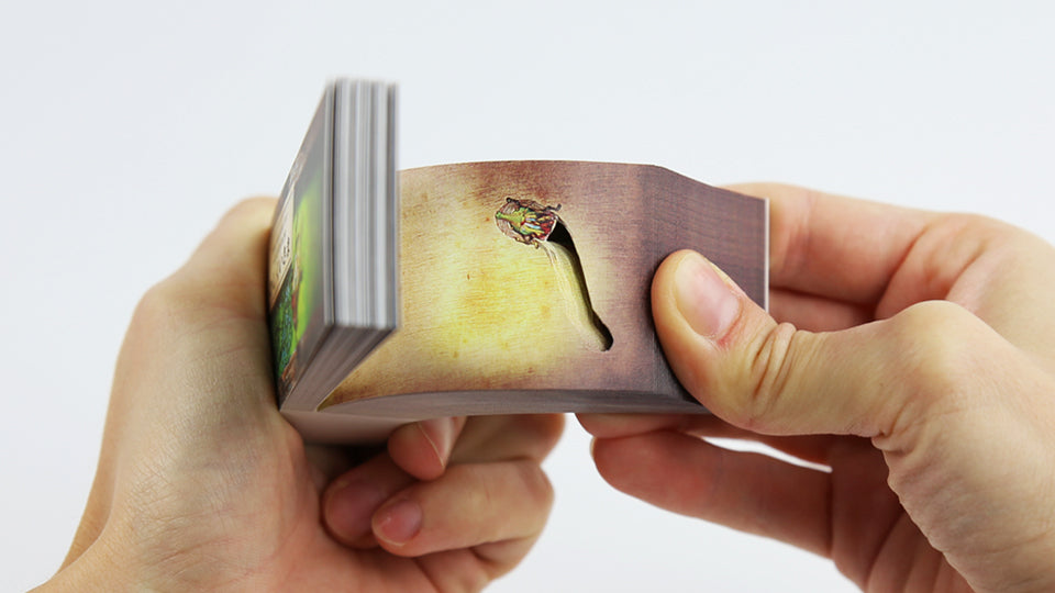 GOD OF BUG EATER – This wonderful flip book by Japanese artist Mou Hitotsu no Kenkyujo (Mohiken) allows us to dive into a fantasy world ruled by a beetle-devouring earth god. Published by Seigensha Art Pubishing, 2013.