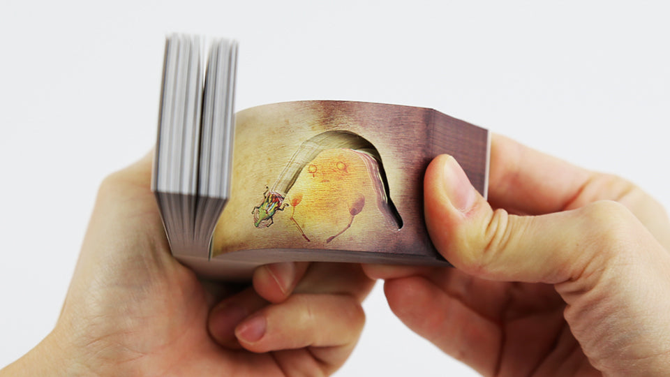 GOD OF BUG EATER – This wonderful flip book by Japanese artist Mou Hitotsu no Kenkyujo (Mohiken) allows us to dive into a fantasy world ruled by a beetle-devouring earth god. Published by Seigensha Art Pubishing, 2013.