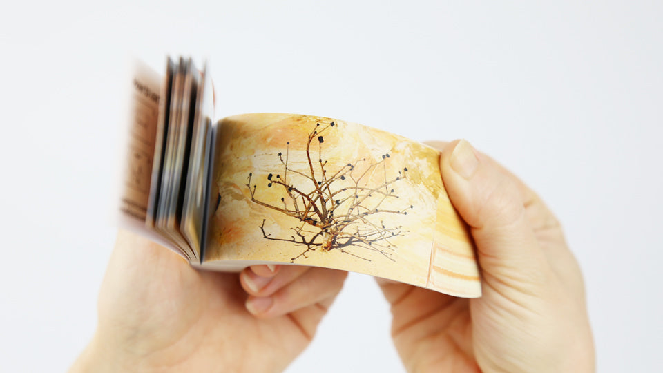 MUEDRA – Flip book based on the stop motion animation short film Muedra by animator Cesar Linga, nominated for Best Animated Short Film at the Spanish Academy Awards, The Goya 2020.