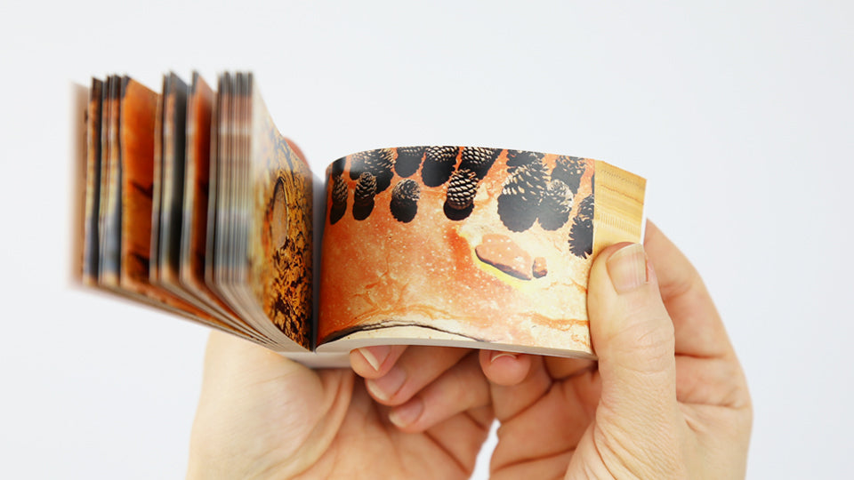 MUEDRA – Flip book based on the stop motion animation short film Muedra by animator Cesar Linga, nominated for Best Animated Short Film at the Spanish Academy Awards, The Goya 2020.