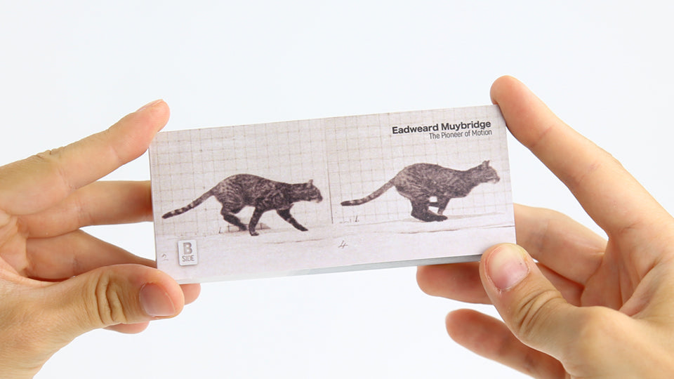 Eadweard Muybridge Flipbook